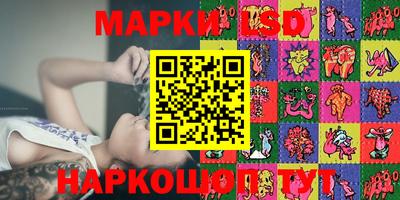 Альфа ПВП Кандалакша