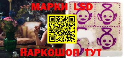 гидропоника Камышлов
