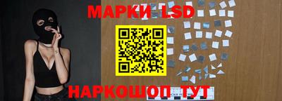 гидропоника Камышлов