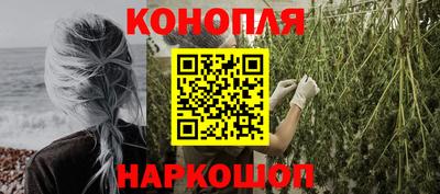 гидропоника Камышлов