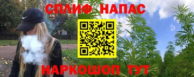 гидропоника Камышлов