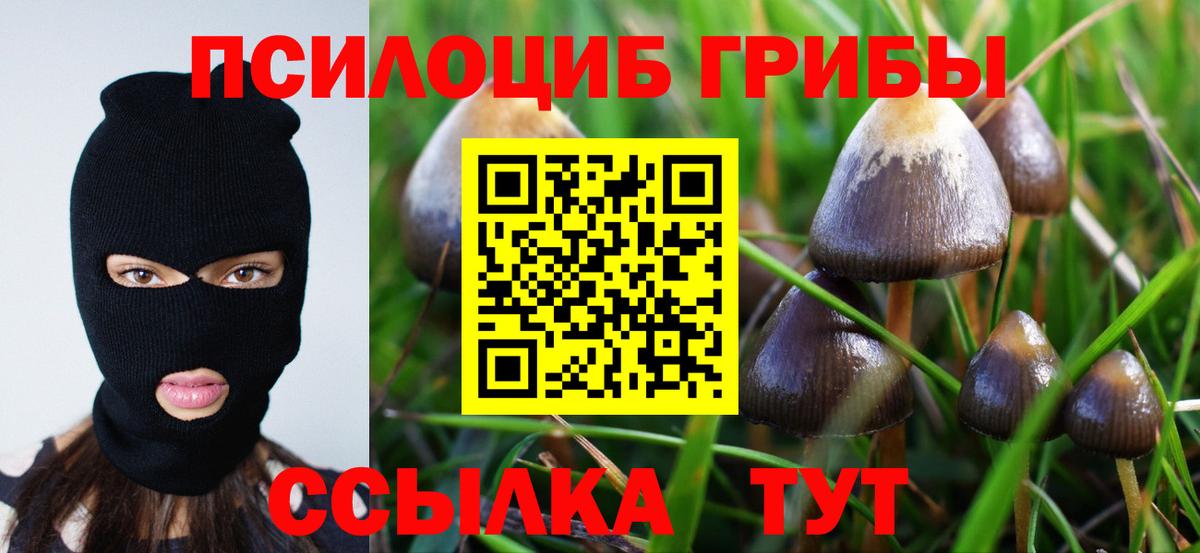 Галлюциногенные грибы Psilocybine cubensis  Вход с VPN  Славгород 